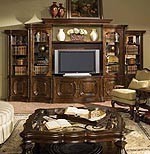 Entertainment Wall