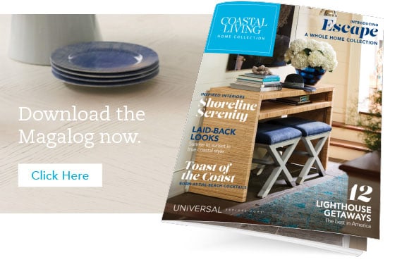 Download the Magalog Now
