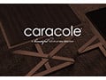 Caracole Modern